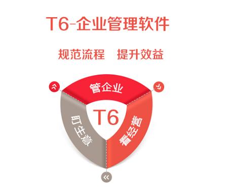 濟南用友軟件T6-企業(yè)管理軟件
