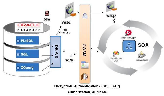 C/S軟件開(kāi)發(fā) C/S軟件開(kāi)發(fā)
